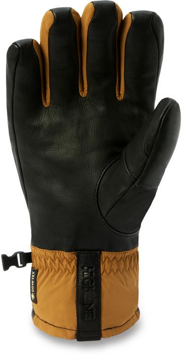Image du produit Dakine Baron Gore-Tex Gloves (L)