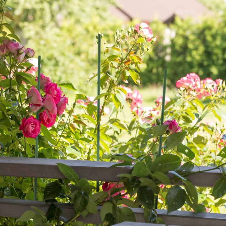 Immagine prodotto Relaxdays 10x bastoncini per piante (1 cm, 1 cm)