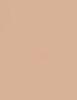 Actual product image Shiseido Synchro Skin Self-Refreshing Custom Finish Powder Foundation (250 Sand)