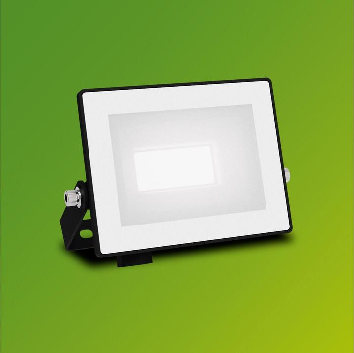 Actual product image Philips Outdoor Flutlicht Lois (950 lm, IP65)