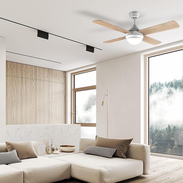 Actual product image Cecotec 05996