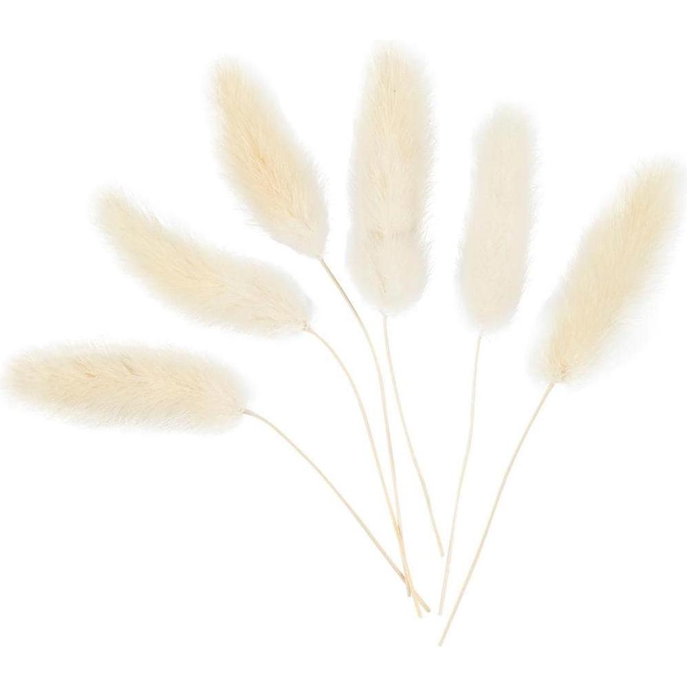 Creativ Company, Blumenstrauss, Weihnachtsdeko 3-7 cm, 6 Stück (Trockenblumen)