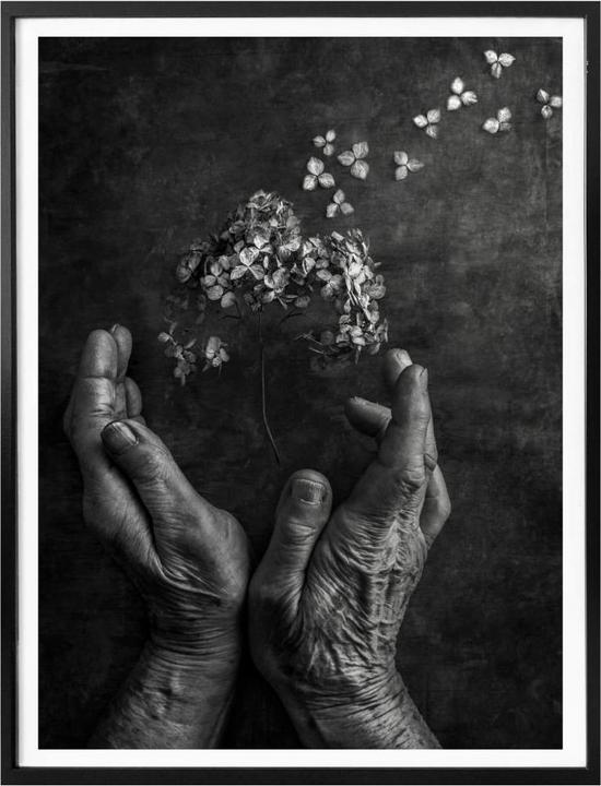 Produktbild Trenddeko Tempus fugit (24 x 30 cm)