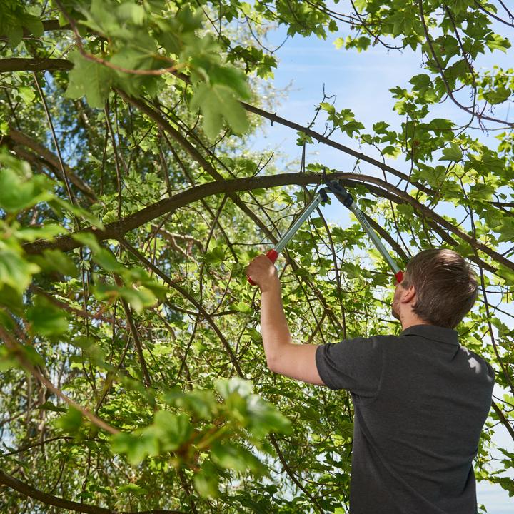 Image du produit Felco 211-50 Élagueur 50 cm