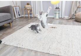 Produktbild Trixie Speelhengel Met Ratelbal En Veer Kunststof Assorti (Spielangel Katze)