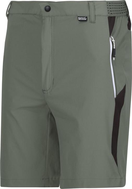Actual product image Regatta Mens Mountain II Shorts