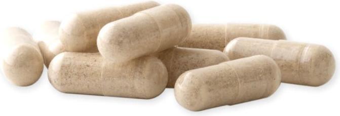 Actual product image Raab MSM with willow bark and vitamin C (90 Piece, Capsules)