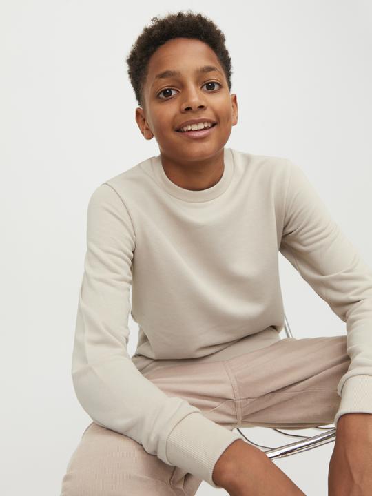 Actual product image Jack & Jones Boys Sweatshirt (152)