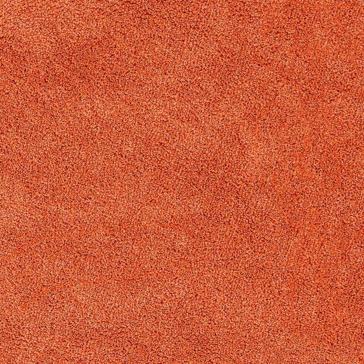 Actual product image vidaXL Rutschfeste Badezimmermatte (80 x 50 cm)