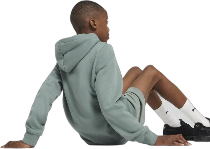 Image du produit Puma ESS 2 COLOR No. 1 Logo Hoodie FL B (152)