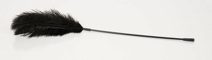 Actual product image Bad Kitty Feder