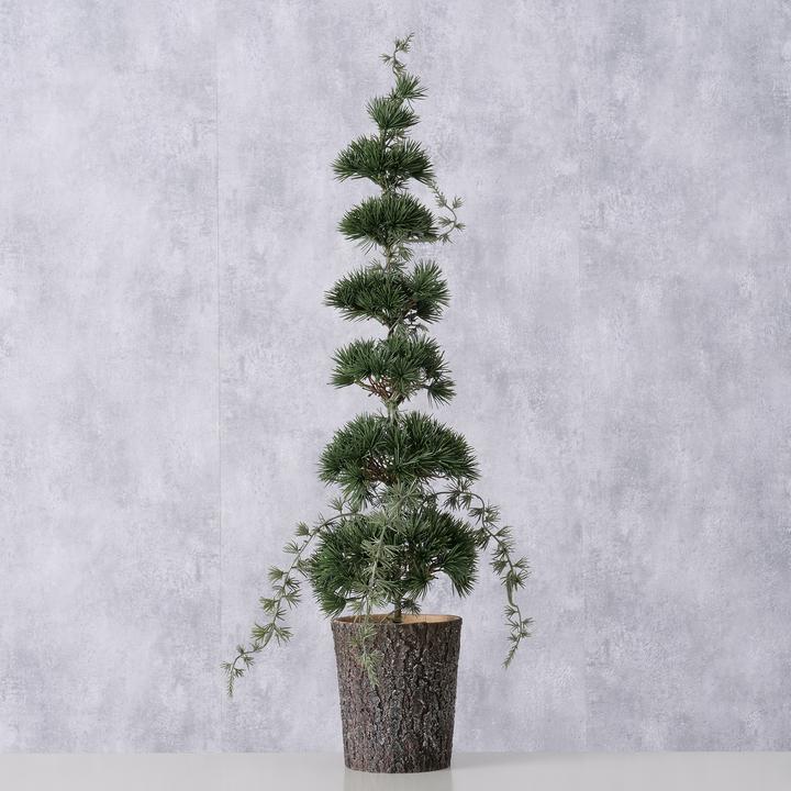 Immagine prodotto Boltze Home Cedro (64 cm)