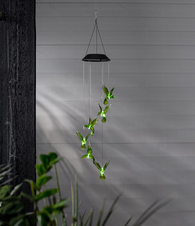 Immagine prodotto Star Trading Decorazione solare colibrì