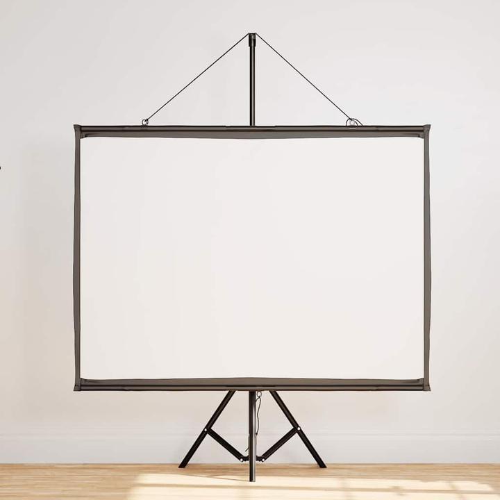 Actual product image vidaXL Projektionsleinwand (50", 4:3)