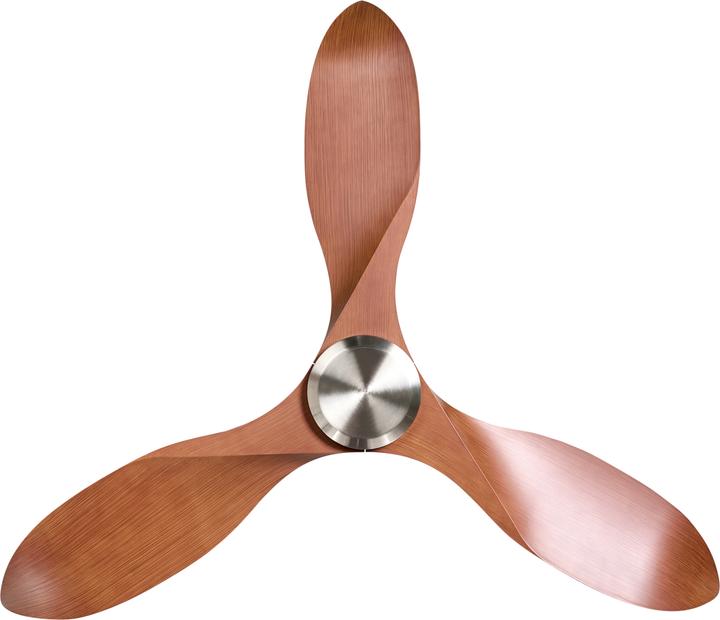 Produktbild Beliani Roseau (45 dB)