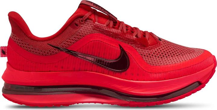 Actual product image Nike Pegasus Premium (42.5)