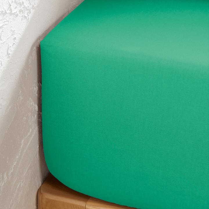 Actual product image La Redoute Interieurs Scenario Coton (180 x 200 cm)