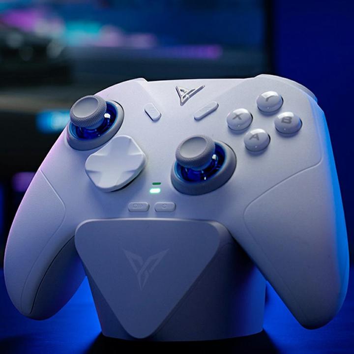 Actual product image Flydigi Universal controller for games Bluetooth DIREWOLF 4 white