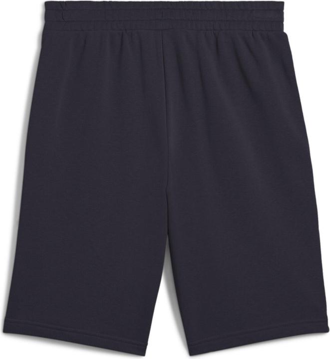 Image du produit Puma ESS 2 COLOR No. 1 Logo Shorts 10" TR (M)