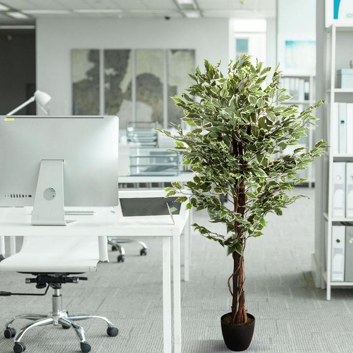 Produktbild Bümö Kunstpflanze Birkenfeige (ficus) (165 cm)