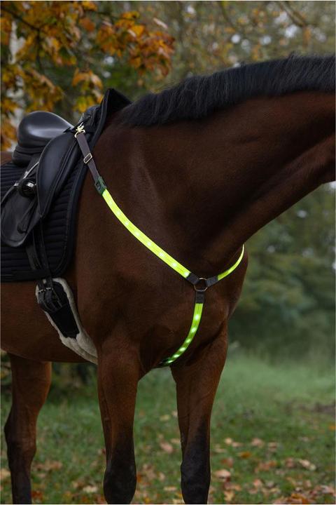Image du produit Kerbl Vorderzeug LED