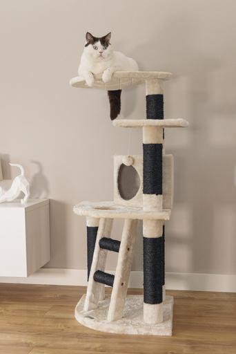 Actual product image Beeztees Bz cat tree Dominjo (123 cm, Black, Beige)