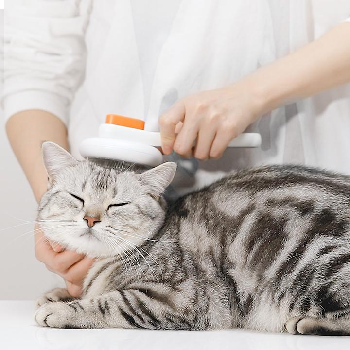 Actual product image Petkit Large Grooming Brush