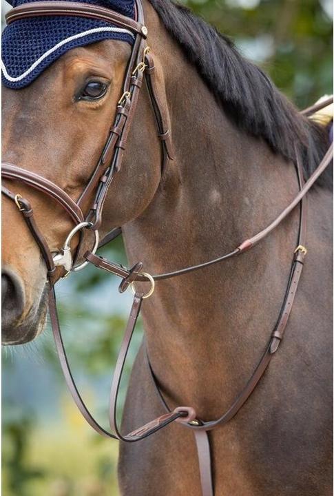 Produktbild HFI Master Martingalpfeil