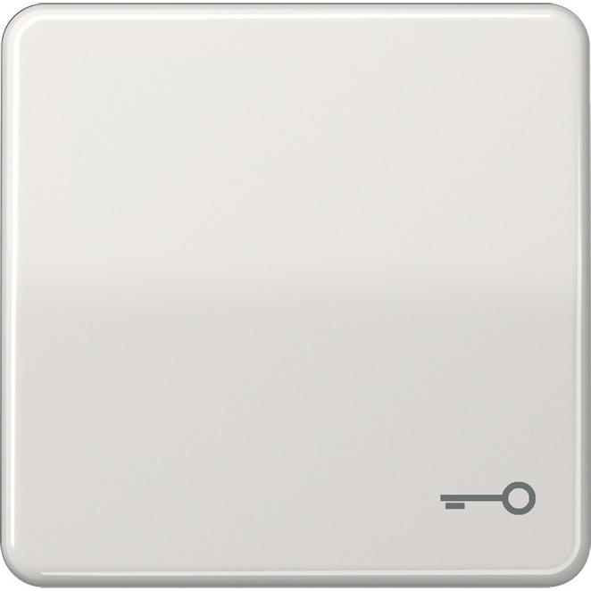 JUNG, Zubehör Schalterprogramm, Wippe Schalter CD lgr glz Schl/Tür CD590TLG