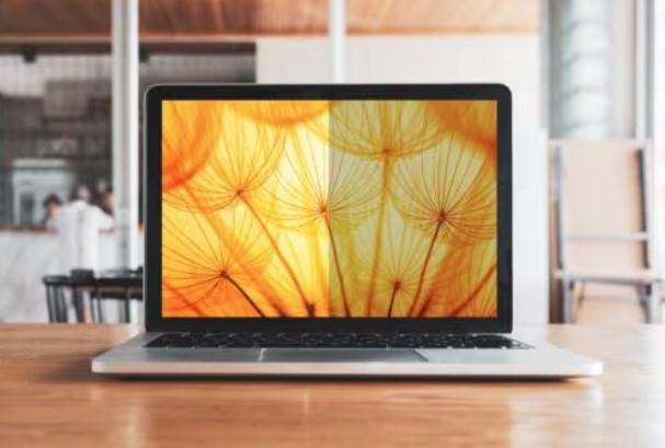 Immagine prodotto 3M Bright Screen Privacy Filters for Laptops (14.49", 16:10)
