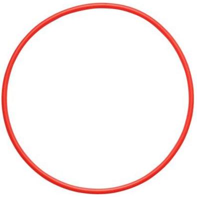 Olympus Pol-050 (Custodia subacquea), Custodia fotocamera, Rosso