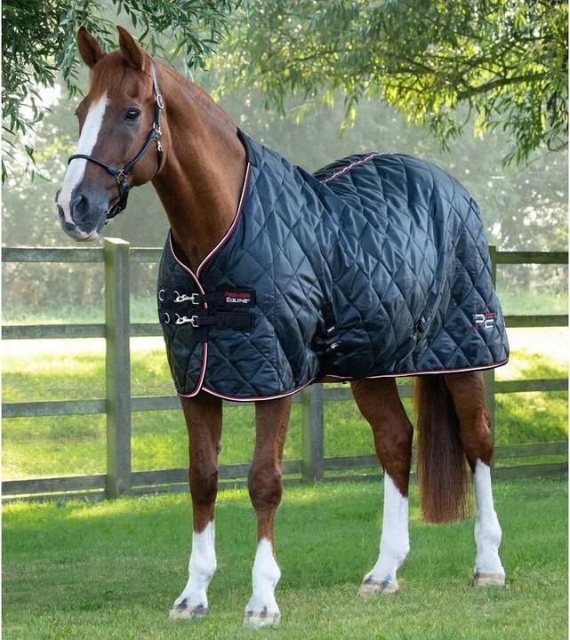 Actual product image Premier Equine Tuscan 100 g (175 cm)