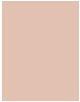Actual product image Sisley Les Phyto Ombres No 12 (12 Silky Rose)