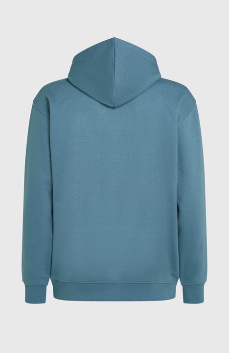 Actual product image O'Neill The Future Surf Society Hoodie (XS)