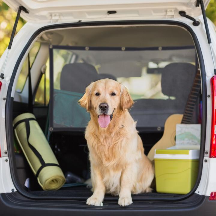 Produktbild Relaxdays Auto-Trennnetz (Hund, Faltbar)
