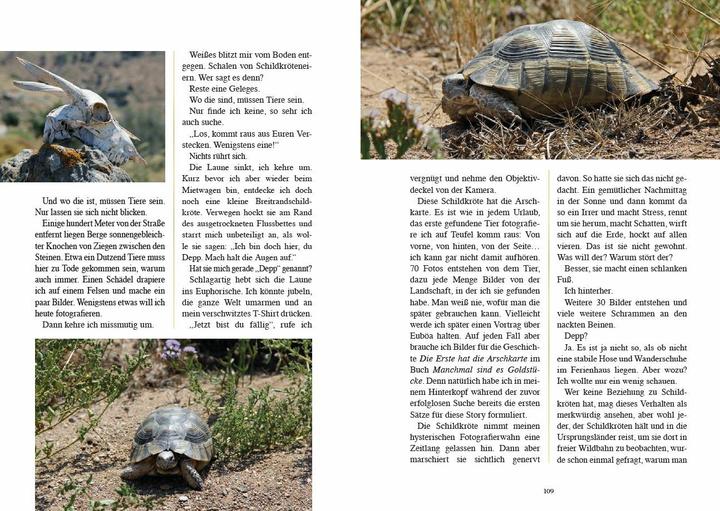 Produktbild Manchmal sind es Goldstücke (Deutsch, Lutz Prauser, 2018)