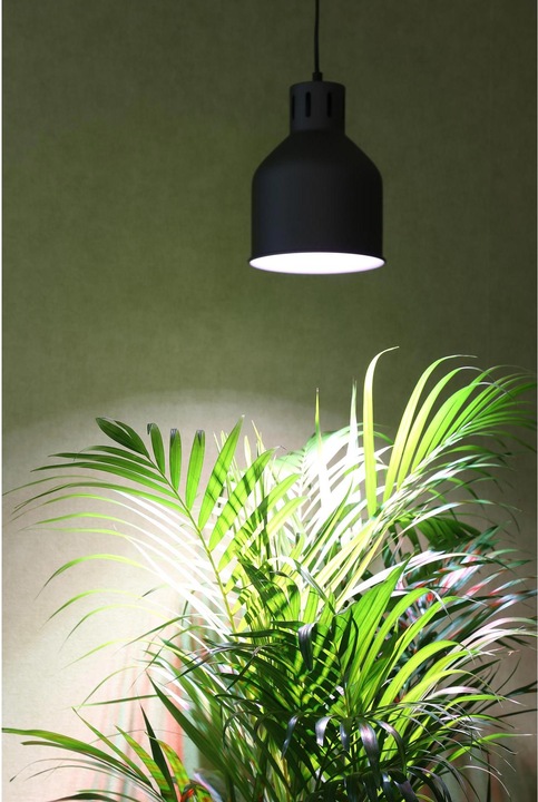 Image du produit Venso Saga (LED, 230 V)