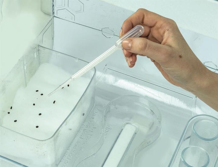 Produktbild Clementoni Terrarium