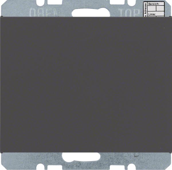 Immagine prodotto Berker 75441275 Objekt-Raumtemperatur-