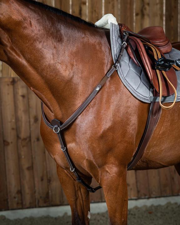 Image du produit Dy'on Collier de chasse pour cheval