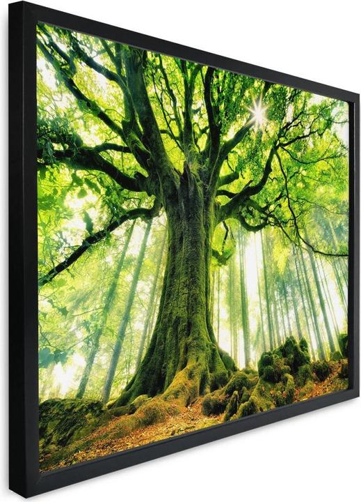 Actual product image Trenddeko Kiciak - Fairytale forest (120 x 100 cm)