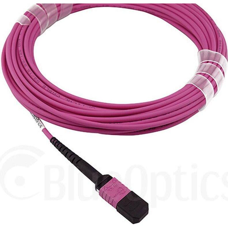BlueOptics HPE PremierFlex QK731A kompatibles MPO-MPO Multimode OM4 Patchkabel 50 Meter (U/UTP, CAT6a, 50 m), Netzwerkka...