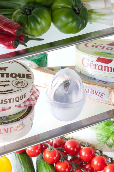 Actual product image Reka Zilofresh Geruchskiller Kühlschrank - Ei