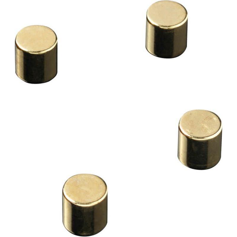 Naga, Magneti, Super Staerke Magneter' cilindro guld Ø 1 x 1 cm - (4 pz.) (4x)