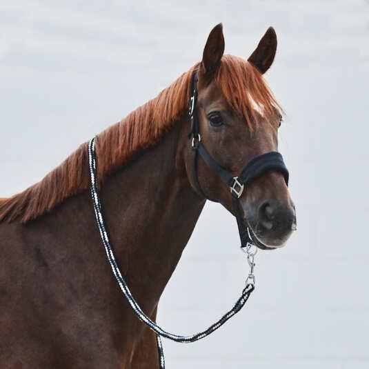 Immagine prodotto Horze Kiel