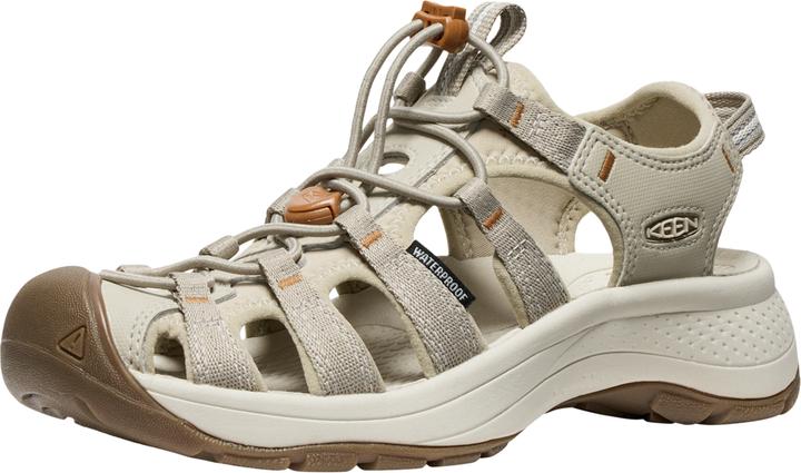Beige, plaza taupe/pain grillé
