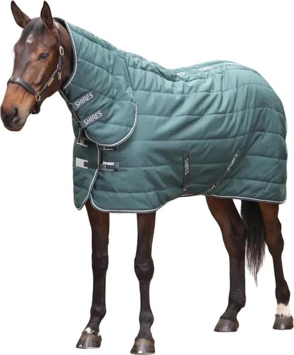 Immagine prodotto Tempest Original Collo Combo Tappeto da Stalla per Cavalli e Collo (121.92 cm)