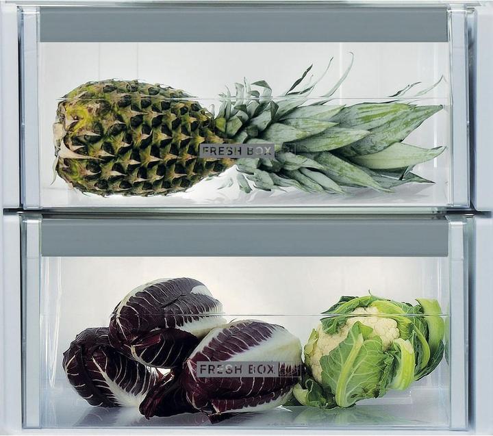 Actual product image Whirlpool ARG 18082 (314 l)