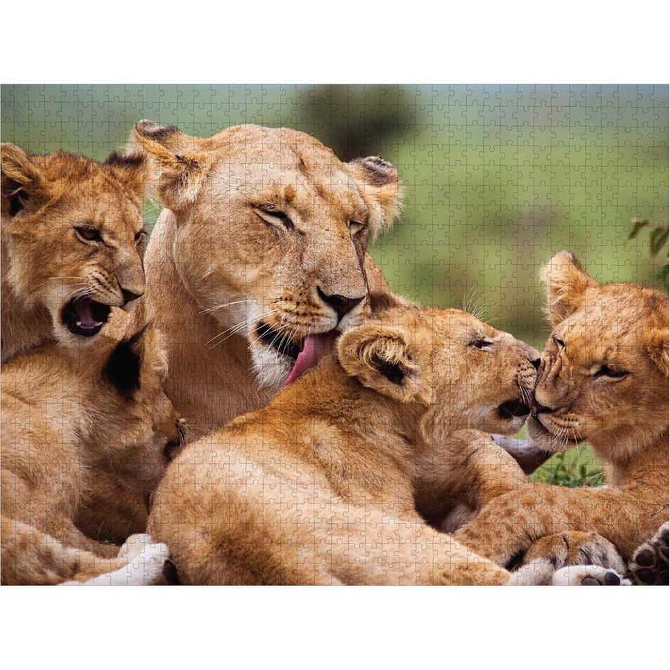 Thumbnail - Jensen Löwen 1000 Teile (1000 Teile)