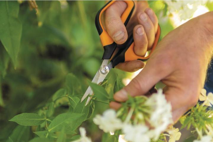 Actual product image Fiskars Solid snip pruning shears SP15